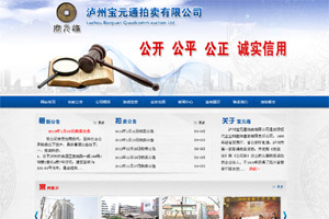 瀘州寶元通拍賣有限公司